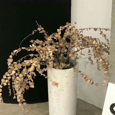 Furry插画素材分享福瑞群